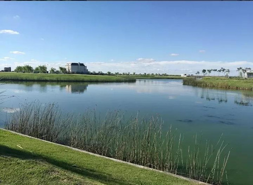 Lote -puertos / Lago, Araucarias