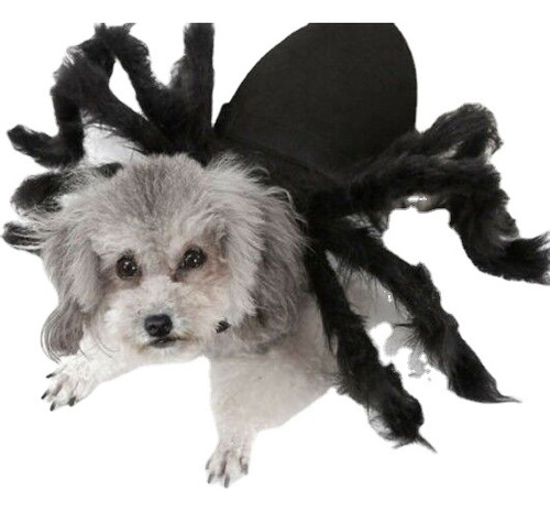 Halloween Ropa Para Mascotas Spider Transformer Costume