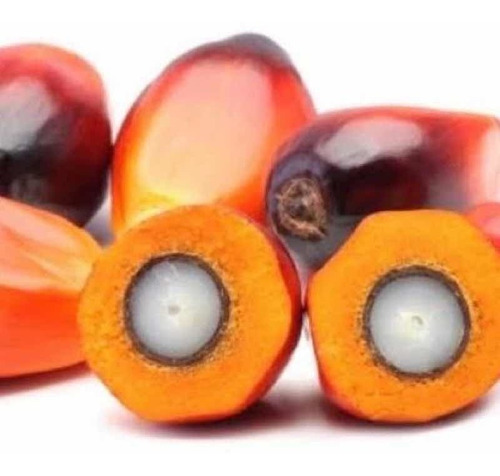 Óleo De Coco Palmiste 200ml