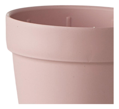 Planta De Maceta De Flores De Flor, Novedad, Olla De Vivero