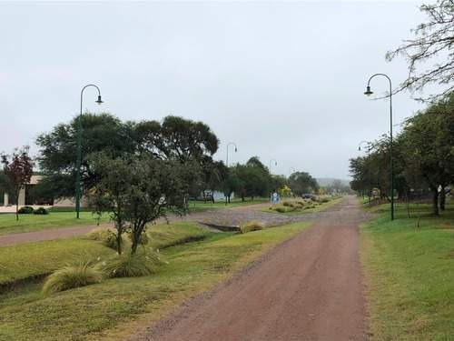 Imagen 2 de 3 de Lote En Venta En Causana