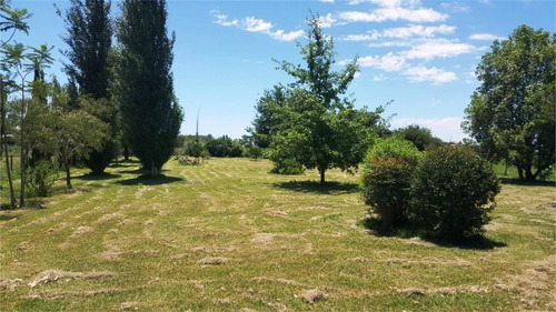 Imagen 10 de 14 de Hermosa Casa Quinta En Venta En Gualeguay