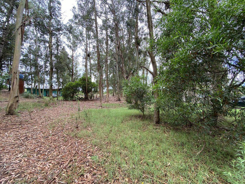 Imagen 9 de 12 de En Venta Terreno - Mar De Las Pampas - Oportunidad.