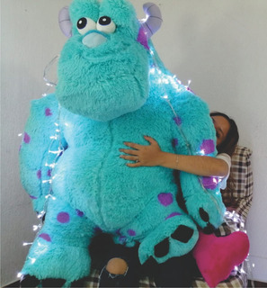 peluches de solivan