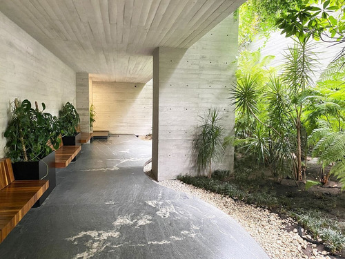 Imagen 2 de 16 de Estrena Garden House En Polanco
