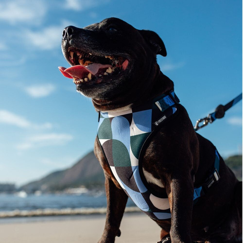 Peitoral Air Para Cães Cachorros Guanabara Freefaro