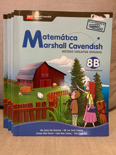 Matematicas Marshall Cavendish 8vo Usado