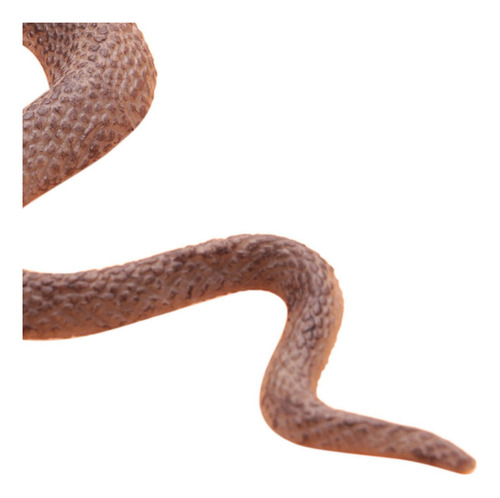 Modelo De Reptil Con Simulación De Queenly Para Cobra Snake