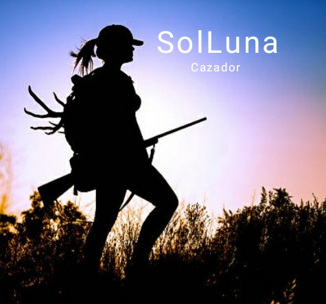 Combo Balines Apolo Barracuda Calibre 5.5 X 3 Latas