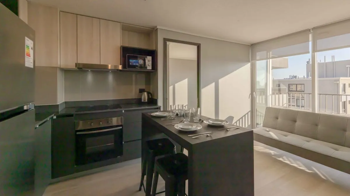 Imagen 4 de 21 de Arriendo De Departamento En Santiago. 1 Dormitorio, 1 Baño.