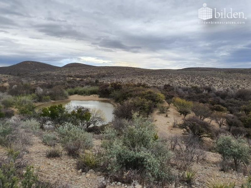 Imagen 8 de 12 de Terreno En Venta San Pedro Del Gallo