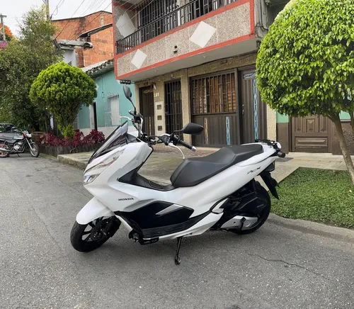 Segundo Dueño