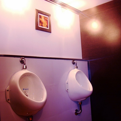 Imagen 7 de 10 de Baños Quimicos Vip Eventos Sanitarios De Lujo