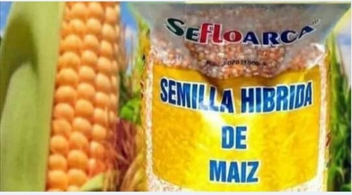 Semillas Hibridas Certificadas De Maíz Amarillo