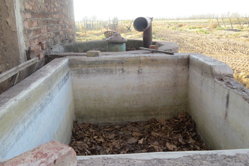 Imagen 7 de 12 de Vendo Finca 25 Hectareas En Colonia Elena San Rafael Mendoza