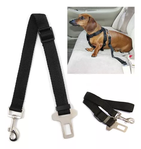 Cinturón de Vehículo para Mascotas – Upaket