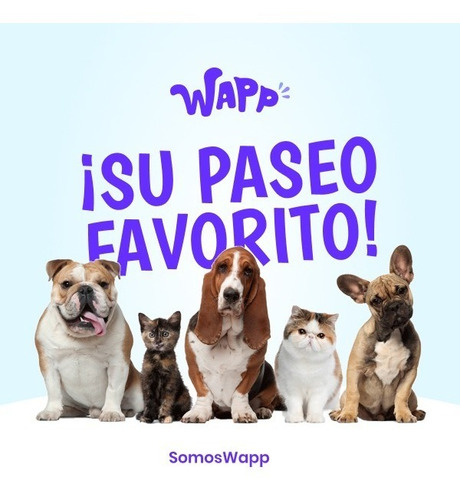 Imagen 5 de 7 de Sieger Super Premium Para Cachorro De Raza Med/gde X 15 kg