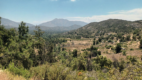 Terreno De 6 Hectáreas Con Derechos De Agua, Caleu