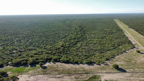 Campo De 2.500 Has. Cuchillo Có, Departamento De Lihue Cale, Provincia De La Pampa.