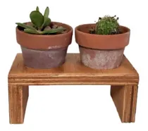 Comprar Porta Maceta Planta Cactus Suculenta Madera Doble Con Maceta