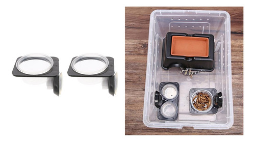4 Uds De De Succión Gecko Alimentador De Esquina Ahorro De