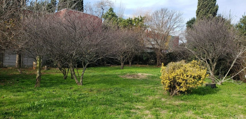 Imagen 8 de 10 de Terreno En Venta En Berazategui