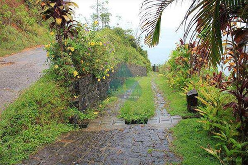 Imagem 1 de 9 de Terreno Para Venda Em Ubatuba, Praia Da Almada - 546_2-1224623