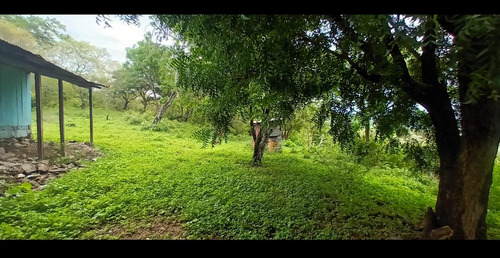 Imagen 14 de 30 de Se Vende Finca De 154 Manzanas