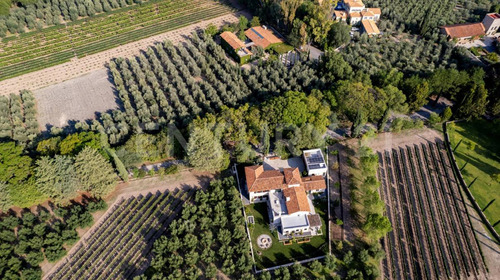 Lotes Residenciales En Venta - Santísima Providencia, Parras De La Fuente