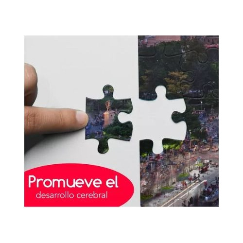 Mayoreo 10 Rompecabezas 1000 Pz Bellas Artes Premium
