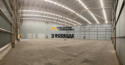 Arriendo Bodega De 1616 M2 En Pi Lo Boza.