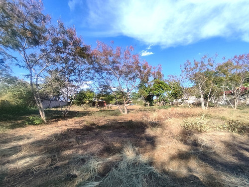Constructores ! Terreno 85mts Frente A Borde De Carr. Yautepec-las Estacas
