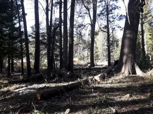 Terreno En Venta En Villa Traful Con Arboles Añejos