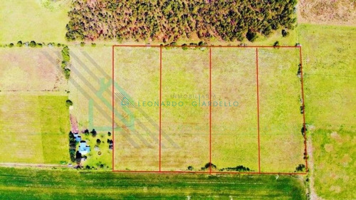 Imagen 4 de 5 de Colonia Del Sacramento - Chacras De 1 Hectárea