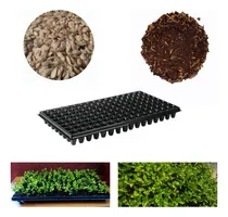 Comprar Kit De Semillas Limonsillo\u002Fsustrato\u002Fbandeja Para 128 Plantas