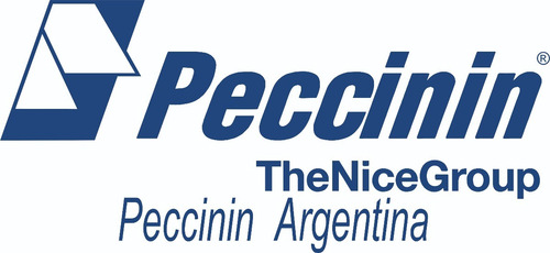 Imagen 6 de 6 de Central Cp 4020 Peccinin Para Porton Pivotante Doble Hoja