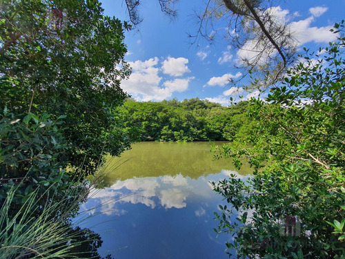 Terreno En Venta En Boca Del Río Veracruz A Orilla Del Río