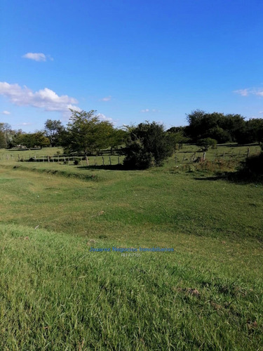 Chacra En Canelones Sobre Ruta 5