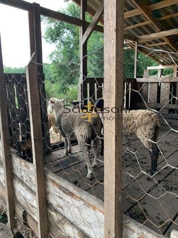 Imagem 12 de 12 de Chácara Para Venda - 5797