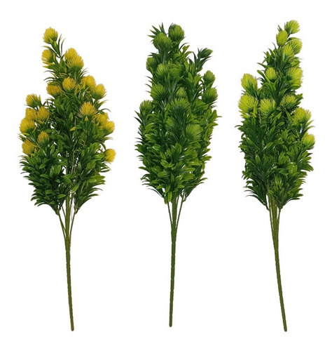 Ramo Amianthium 50 Cm 