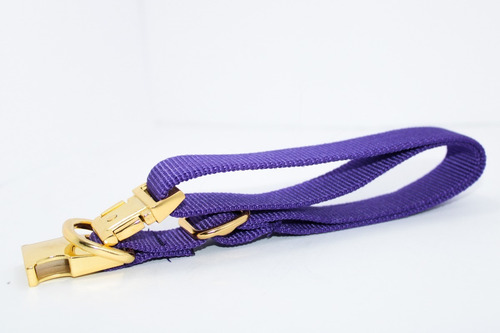 Collar Para Perro Con Herraje Metálico | Gold 1 | Grande