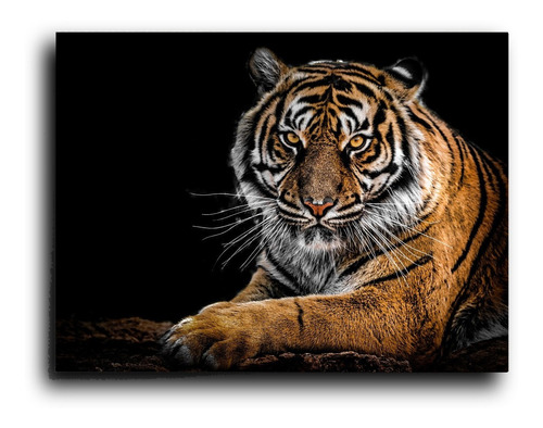 Cuadro Decorativo Canvas Tigre Bengala Salvaje 100*140