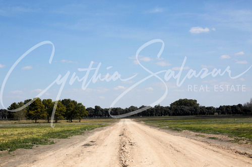 Venta Lote Carlos Keen Chacras De San Andres Lote De 2400 M2 Financia Etapa 2