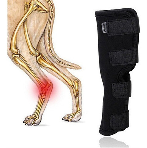 Soporte Para Piernas Para Perros, Codera Y Rodillera Para Ma