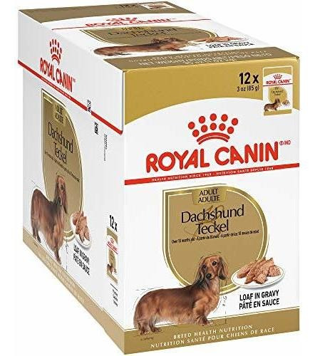 Royal Canin Raza Salud Nutrición Perro Salchicha Molde En Sa