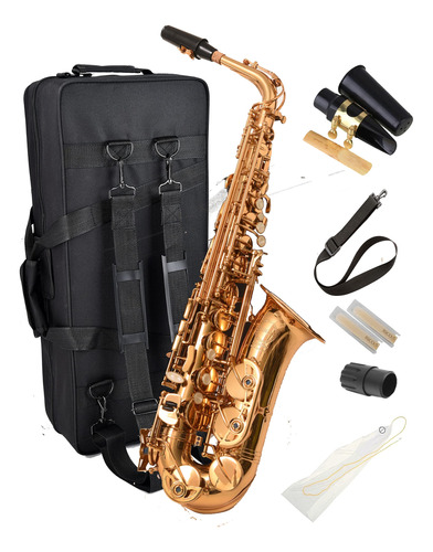 Saxofon Herche Superior Saxofon Alto X3 | Instrumentos Profe