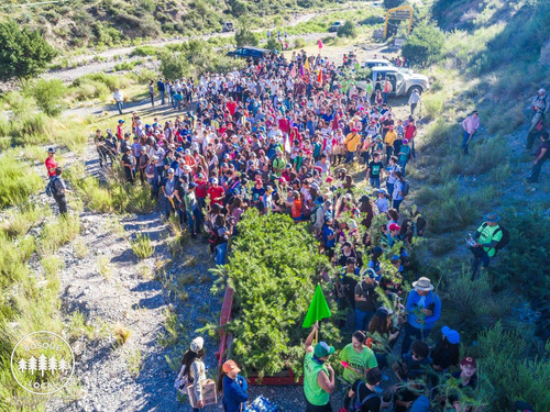 Apoya Tu Bosque Local Donativo Para Reforestacion