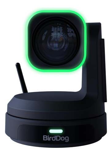 Câmera Ptz Birddog X1 Ultra Com Zoom 12x (preto) 4k Uhd