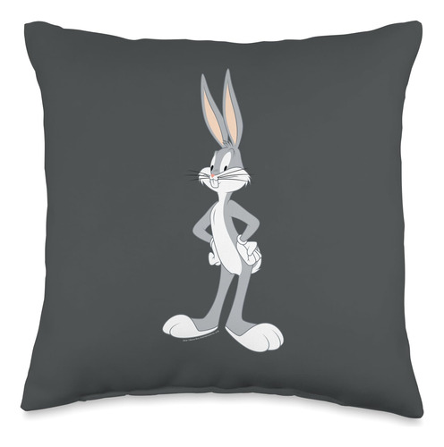 Looney Tunes Bugs - Cojin Para Cojin (16.0 X 16.0 in), Multi