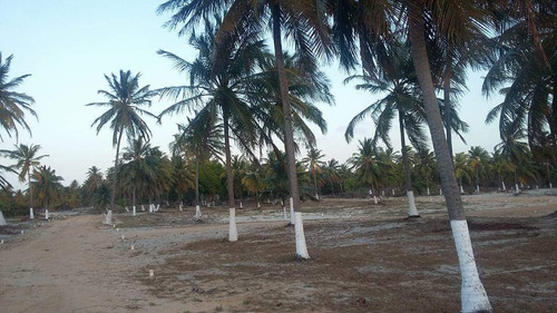 Terreno À Venda Em Icaraízinho De Amontada - Excelente Localização!